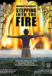 Watch Full Movie : Stepping Into the Fire 2011