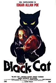 Watch Full Movie :The Black Cat (1981)