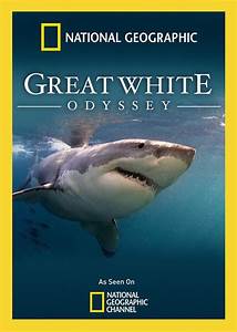 Great White Odyssey (2008)