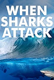 When Sharks Attack (20132020)