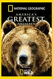 Americas Greatest Animals (2012)