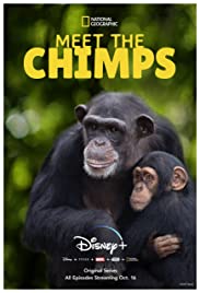 Meet the Chimps (2020 )