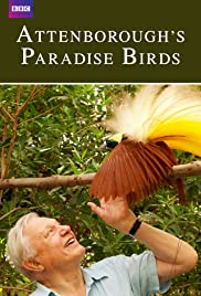 Attenboroughs Paradise Birds (2015)