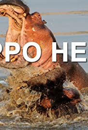 Hippo Hell (2007)