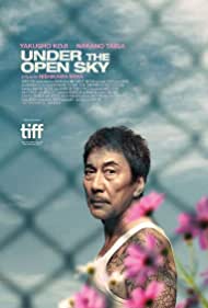 Watch Full Movie :Under the Open Sky (2020)