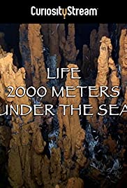 Life 2,000 Meters Under the Sea (2014)