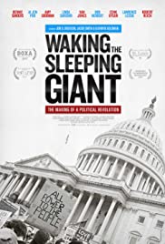 Waking the Sleeping Giant: The Making of a Political Revolution (2017)