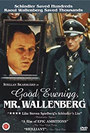 Good Evening, Mr. Wallenberg (1990)