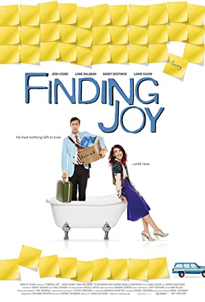 Finding Joy (2013)