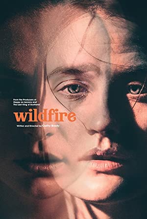 Watch Full Movie :Wildfire (2020)