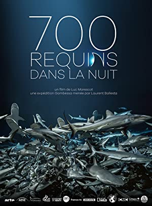 700 requins dans la nuit (2018)
