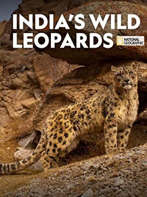 Indias Wild Leopards (2020)