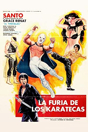 The Fury of the Karate Experts (1982)