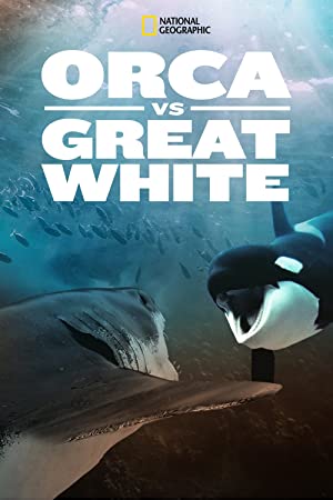 Orca vs. Great White (2021)