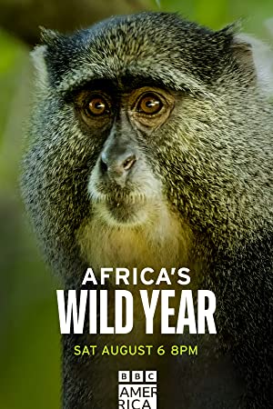 Watch Full Tvshow :Africas wild year (2021)