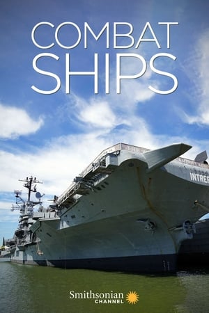 Watch Full Tvshow :Combat Ships (2017-2022)