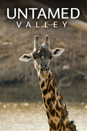 Watch Full Tvshow :Untamed Valley (2017-)