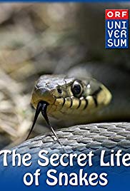 The Secret Life of Snakes (2016)