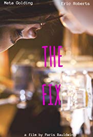 The Fix (2015)